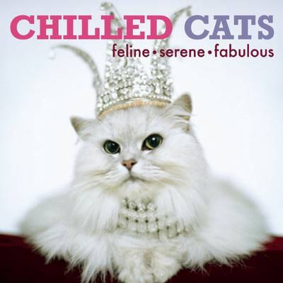 Chilled Cats: Feline, Serene, Fabulous (Hardback)