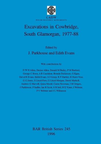 Excavations in Cowbridge, South Glamorgan, 1977-1988 - British Archaeological Reports British Series (Paperback)