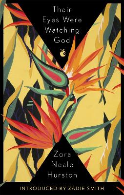 Their Eyes Were Watching God - VMC (Paperback)