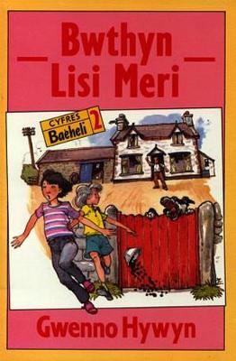 Cyfres Baeheli:2. Bwthyn Lisi Meri (Paperback)