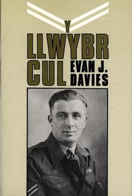 Llwybr Cul, Y (Paperback)