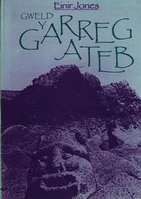 Gweld y Garreg Ateb (Hardback)