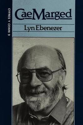 Cyfres y Cewri: 9. Cae Marged (Paperback)