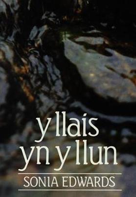 Llais yn y Llun, Y (Paperback)