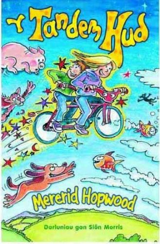 Tandem Hud, Y (Paperback)