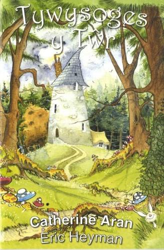 Tywysoges y Twr (Paperback)