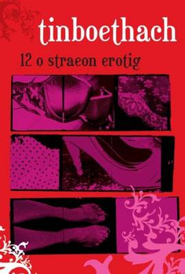 Tinboethach (Paperback)