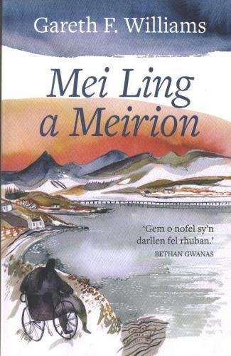 Mei Ling a Meirion (Paperback)