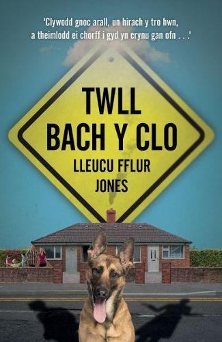 Twll Bach y Clo (Paperback)