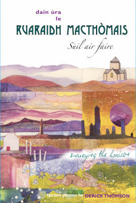 Surveying the Horizon: Suil Air Faire (Hardback)