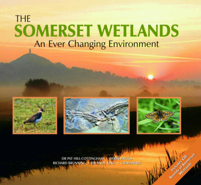 The Somerset Wetlands: An Ever Changing Environment (Hardback)