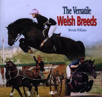 The Versatile Welsh Breeds: Breeding and Working the Welsh Cobs (Paperback)