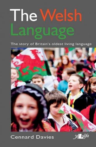 The Welsh Language - It's Wales (Paperback)