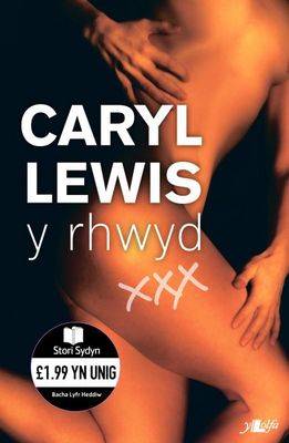 Y Rhwyd - Cyfres Stori Sydyn (Paperback)