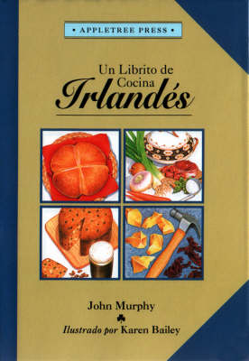 Little Irish Cook Book - International little cookbooks (Hardback)