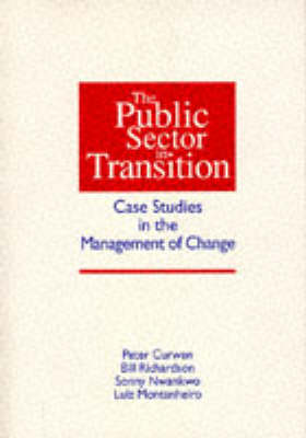 The Public Sector in Transition: Case Studies in the Management of Change - PAVIC publications (Paperback)