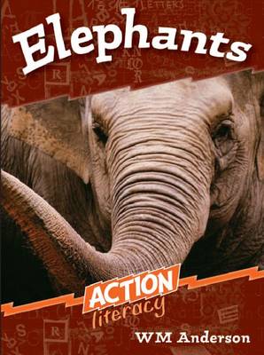 Elephants (Paperback)