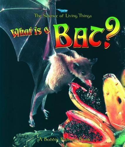 What is a Bat? - Science of Living Things S. (Paperback)