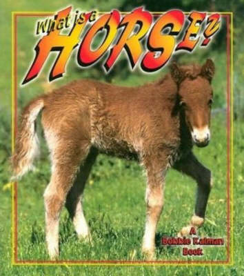What Is A Horse? - The Science of Living Things (Paperback)