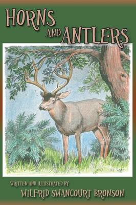 Horns and Antlers (Paperback)