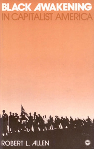 Black Awakening In Capitalist America: An Analytical History (Paperback)