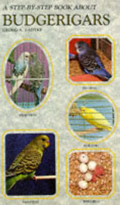 Step-by-step Book About Budgerigars (Paperback)