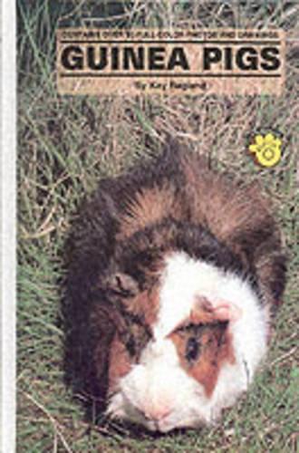 Guinea Pigs (Paperback)