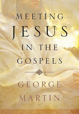Meeting Jesus in the Gospels (Paperback)