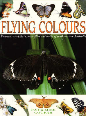Flying Colours: Common Caterpillars, Butterflies and Moths of South-eastern Australia (Hardback)