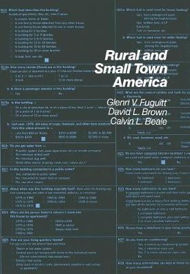 Rural and Smalltown America - The population of the United States in the 1980s: a census monograph series (Hardback)