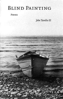 Blind Painting (Paperback)