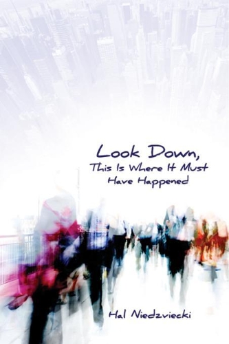 Look Down, This is Where it Must Have Happened (Paperback)