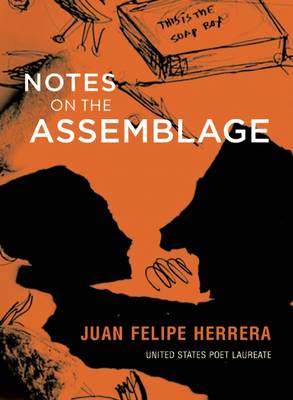 Notes on the Assemblage (Hardback)