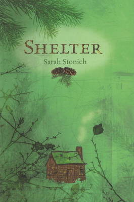 Shelter (Hardback)