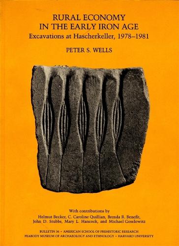 Rural Economy in the Early Iron Age: Excavations at Hascherkeller, 1978-1981 - American School of Prehistoric Research Bulletins 36 (Paperback)