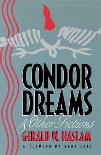 Condor Dreams and Other Fictions (Paperback)