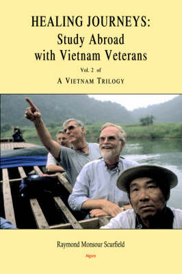 Healing Journeys: Study Abroad with Vietnam Veterans. Vol. 2 of A Vietnam Trilogy (Paperback)