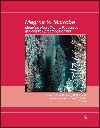 Magma to Microbe: Modeling Hydrothermal Processes at Oceanic Spreading Centers - Geophysical Monograph Series (Hardback)