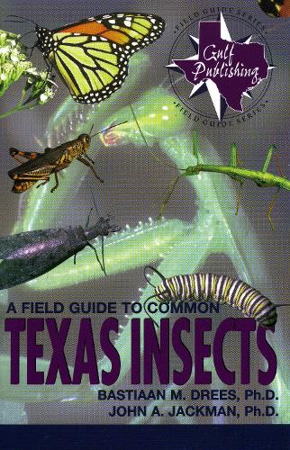 A Field Guide to Common Texas Insects - Gulf Publishing Field Guides (Paperback)