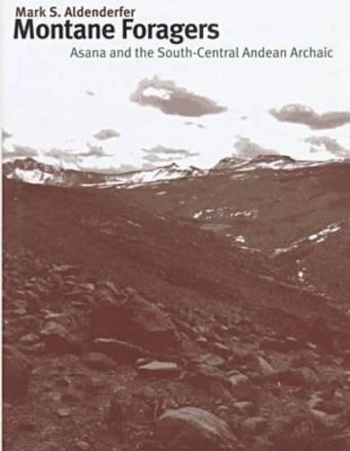 Montane Foragers: Asana and the South-central Andean Archaic (Hardback)