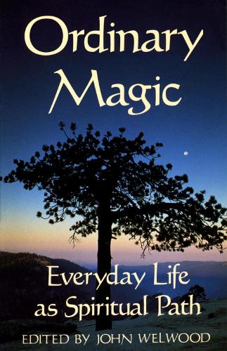 Ordinary Magic (Paperback)