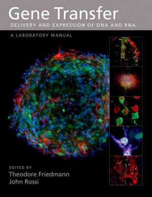 Gene Transfer: Delivery and Expression of DNA and RNA, a Laboratory Manual (Paperback)
