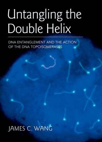 Untangling the Double Helix: DNA Entanglement and the Action of the DNA Topoisomerases (Paperback)