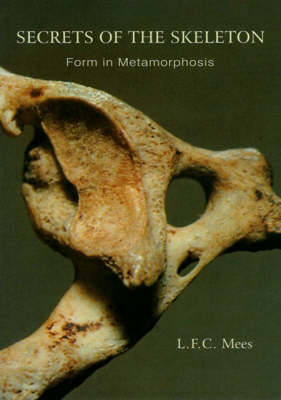 Secrets of the Skeleton: Form in Metamorphosis (Paperback)