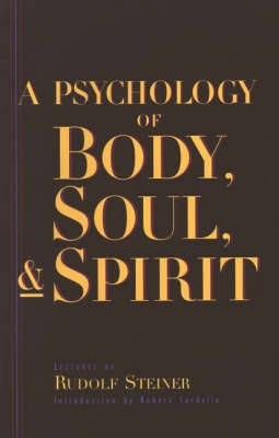 A Psychology of Body, Soul and Spirit (Paperback)