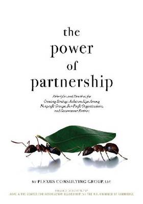 The Power of Partnership: Principles and Practices for Creating Strategic Relationships Among Nonprofit Groups, For-Profit Organizations, and Government Entities (Paperback)