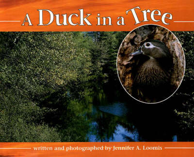 Duck in a Tree (Hardback)
