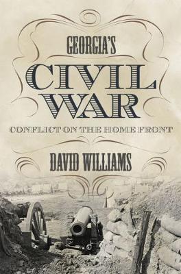 Georgia's Civil War: Conflict on the Home Front - State Narratives of the Civil War (Hardback)