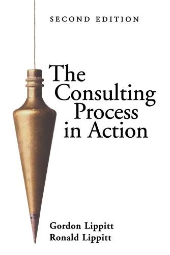 The Consulting Process in Action (Paperback)