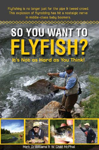 So You Want to Flyfish? (Paperback)